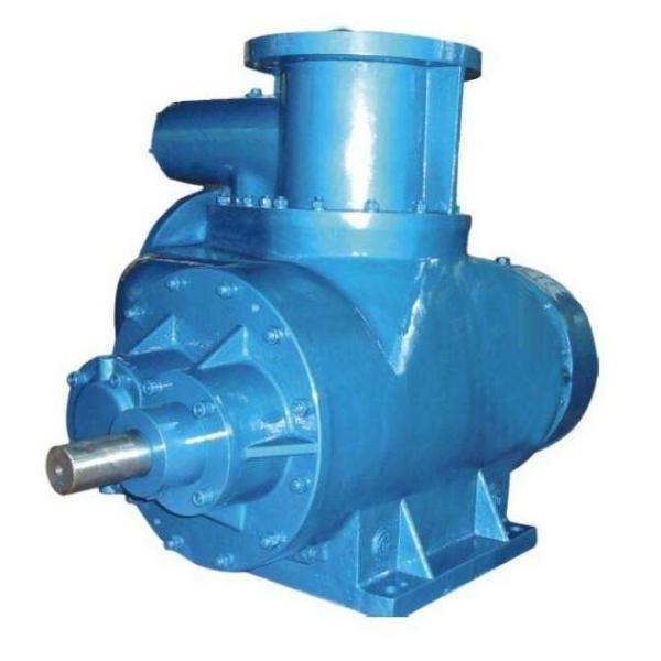  0513300280	0513R18D3VPV25SM21JZB0605.01,235.0 imported with original packaging Original Rexroth VPV series Gear Pump #1 image